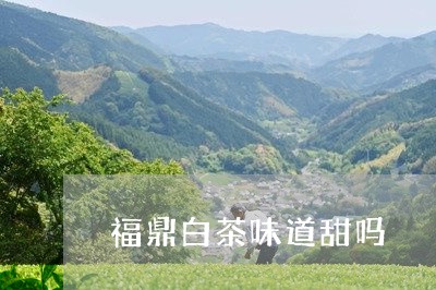 福鼎白茶味道甜吗/2023112545838