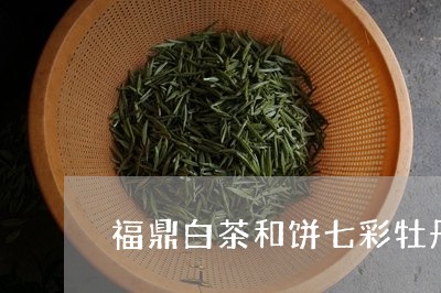 福鼎白茶和饼七彩牡丹/2023092091815