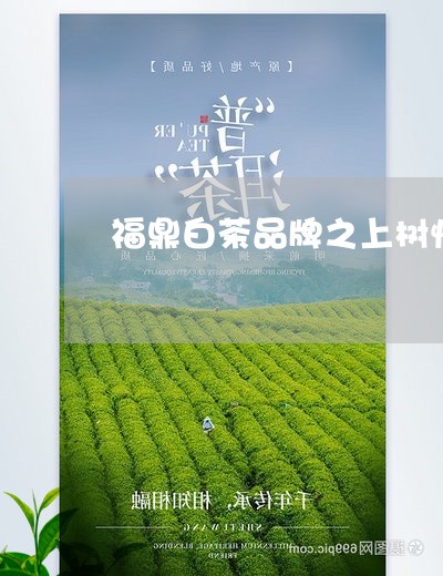 福鼎白茶品牌之上树悦茶/2023110165382