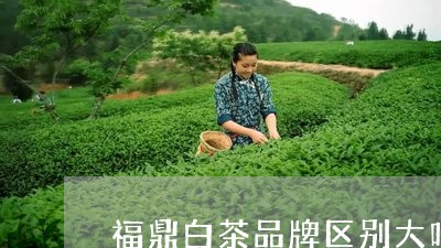 福鼎白茶品牌区别大吗/2023111563815