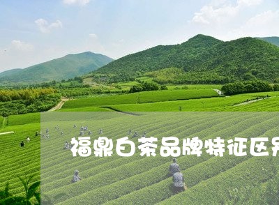 福鼎白茶品牌特征区别图片/2023110991536