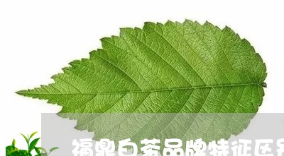 福鼎白茶品牌特征区别在哪/2023042606168