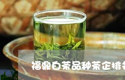 福鼎白茶品种茶企排名/2023082676147