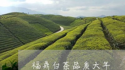 福鼎白茶品质大年/2023062837162