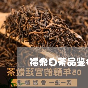 福鼎白茶品鉴推荐会议/2023091555573