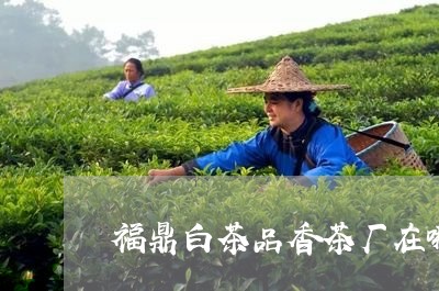 福鼎白茶品香茶厂在哪里/2023082531817