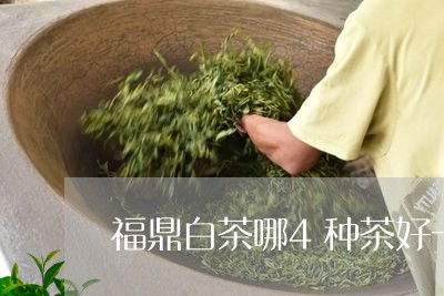 福鼎白茶哪4种茶好一点/2023092106278