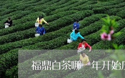 福鼎白茶哪一年开始压饼/2023092103817