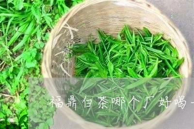 福鼎白茶哪个厂好喝一点/2023092496260