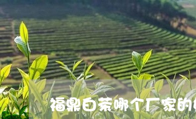 福鼎白茶哪个厂家的好/2023120701058