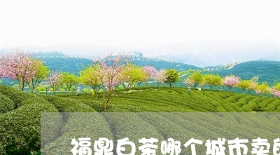 福鼎白茶哪个城市卖的最好/2023062999682