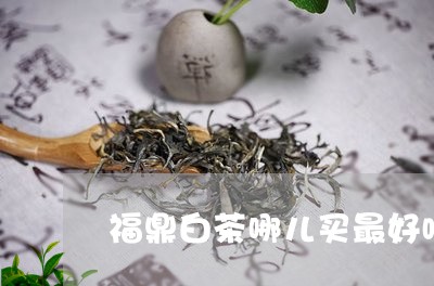 福鼎白茶哪儿买最好喝的/2023092505837