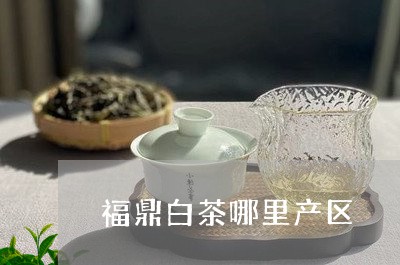 福鼎白茶哪里产区/2023112625149