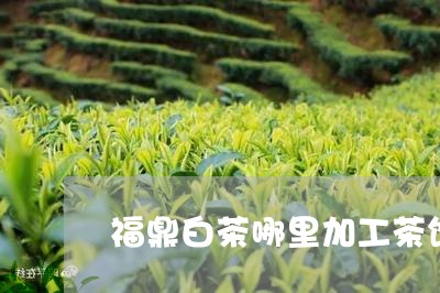 福鼎白茶哪里加工茶饼/2023120683737