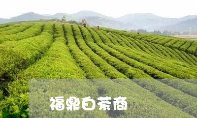 福鼎白茶商/2023051075937