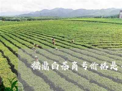 福鼎白茶商号价格是多少/2023092183826