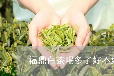 福鼎白茶喝多了好不好喝/2023092514149