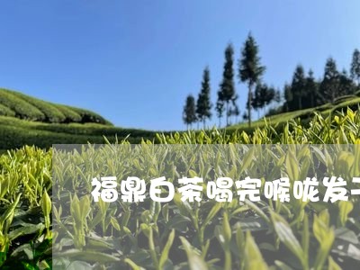 福鼎白茶喝完喉咙发干/2023120869279