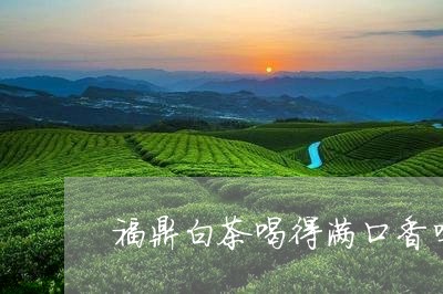 福鼎白茶喝得满口香吗/2023110938363