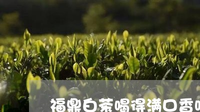 福鼎白茶喝得满口香吗图片/2023110970583