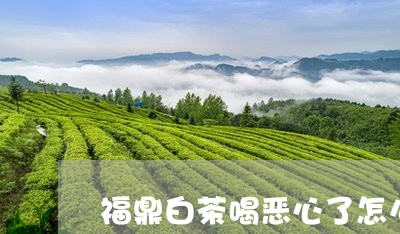 福鼎白茶喝恶心了怎么办/2023092597169