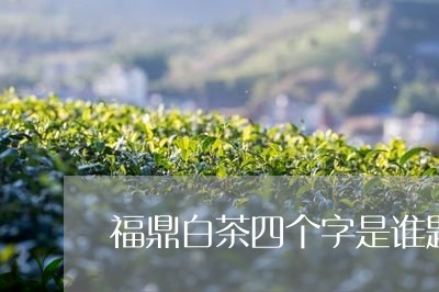 福鼎白茶四个字是谁题写的/2023042639484