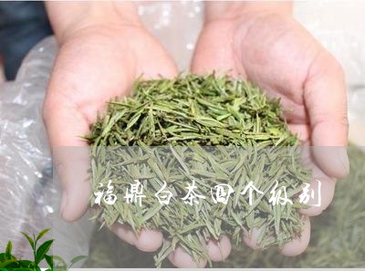 福鼎白茶四个级别/2023112638483