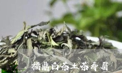 福鼎白茶土茶寿眉/2023071282938