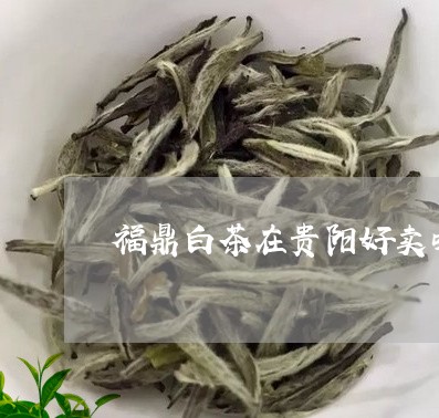 福鼎白茶在贵阳好卖吗/2023092059784