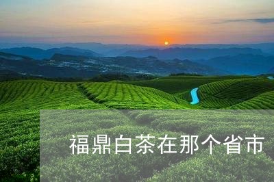 福鼎白茶在那个省市/2023120383927