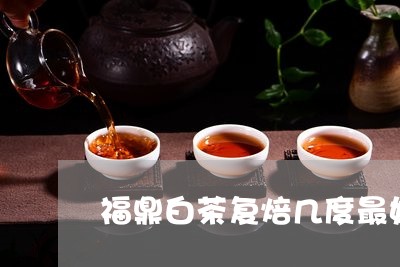 福鼎白茶复焙几度最好/2023120816169