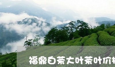 福鼎白茶大叶茶叶价格/2023120841629