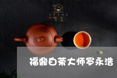 福鼎白茶大师罗永浩/2023082658592