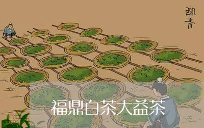 福鼎白茶大益茶/2023112515047