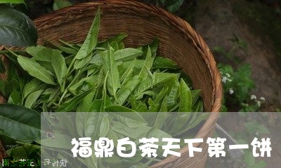 福鼎白茶天下第一饼/2023120372826