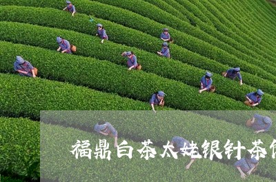 福鼎白茶太姥银针茶饼/2023120622625