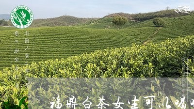 福鼎白茶女生可以喝吗/2023120893847