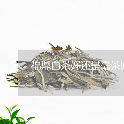 福鼎白茶好还是毫茶好/2023120829683