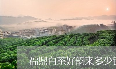 福鼎白茶好韵来多少钱一箱/2023042572807