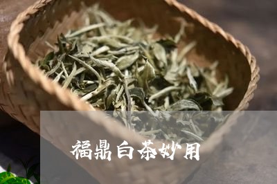 福鼎白茶妙用/2023052296069