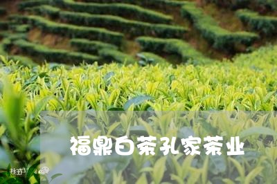 福鼎白茶孔家茶业/2023062867371