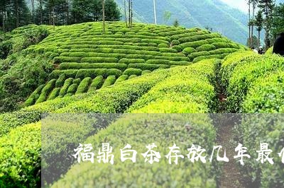 福鼎白茶存放几年最佳饮用时间/2023062838602