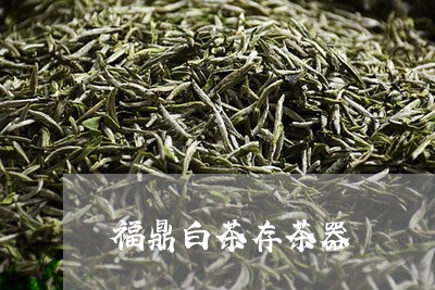 福鼎白茶存茶器/2023060801804