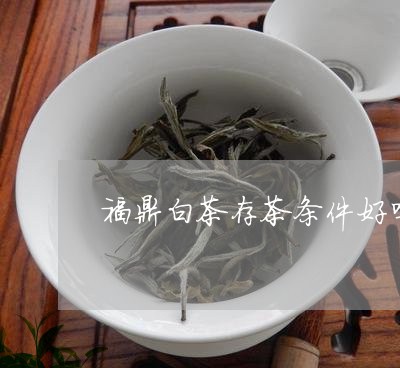 福鼎白茶存茶条件好吗多少钱/2023111473816