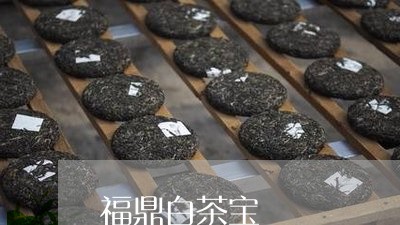 福鼎白茶宝/2023082729593