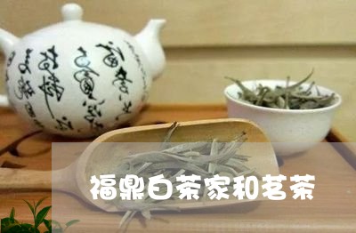 福鼎白茶家和茗茶/2023111665059