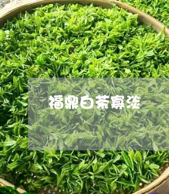 福鼎白茶寡淡/2023052285949