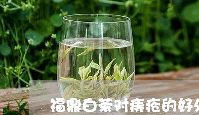 福鼎白茶对痔疮的好处/2023120764816