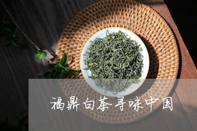 福鼎白茶寻味中国/2023112615240