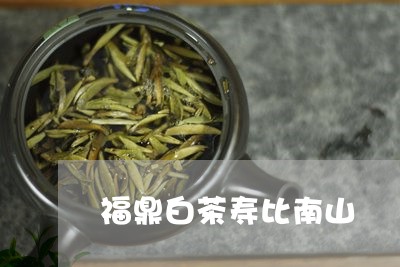 福鼎白茶寿比南山/2023112661624